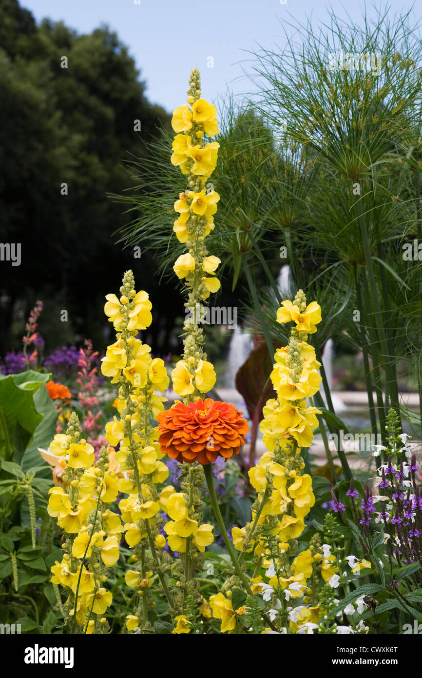 Colourful flower border in the Jardin de L'Eveche, Limoges, France. Stock Photo
