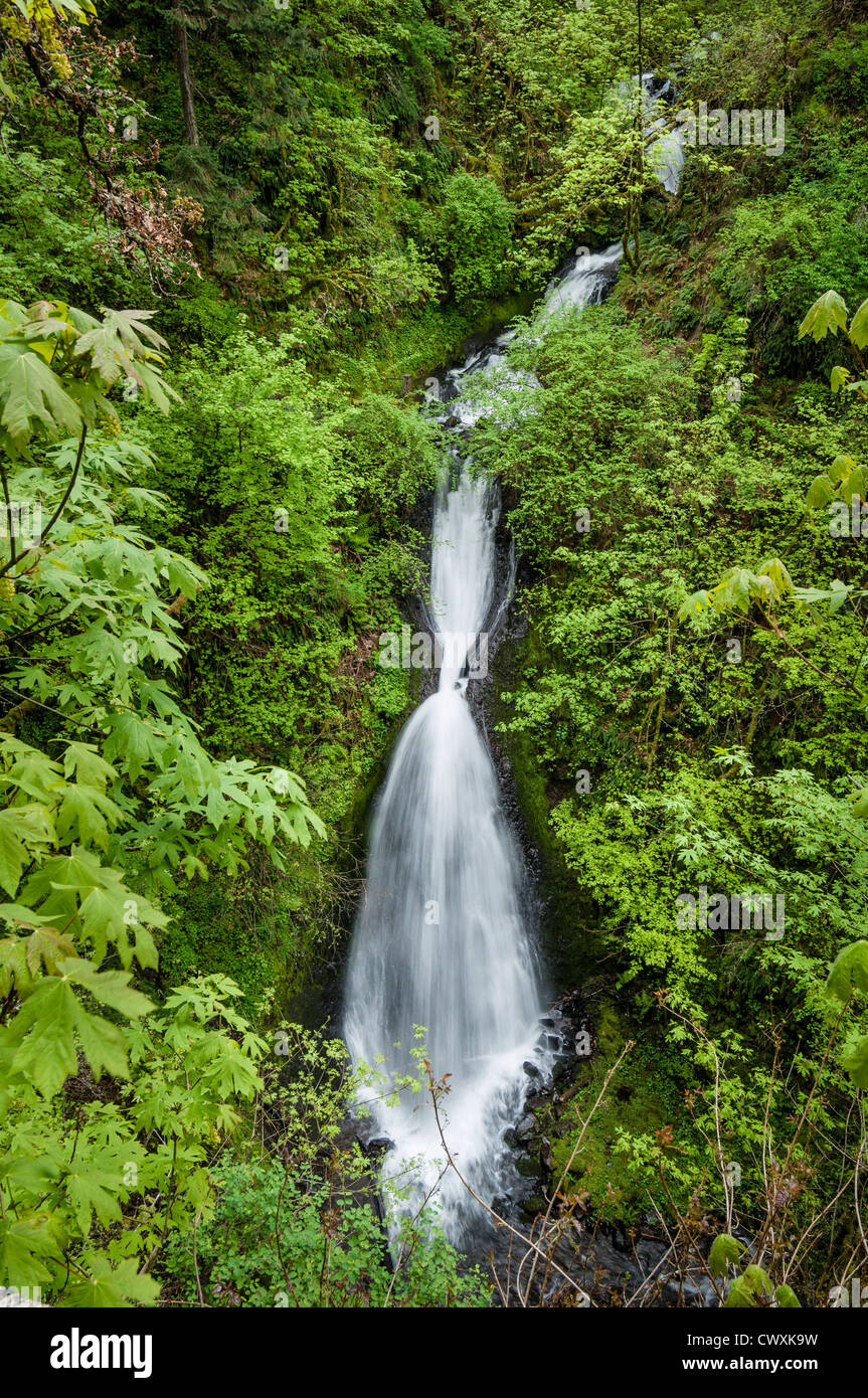 Shepperd's Dell Waterfall, Columbia River Gorge National Scenic Area, Oregon. Stock Photo