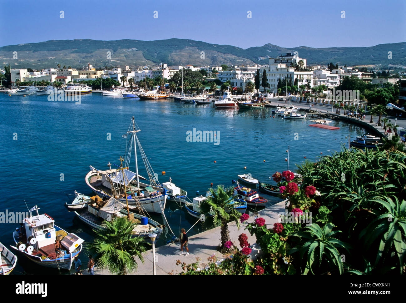 8077. Harbour, Kos Town, Kos, Greece Stock Photo