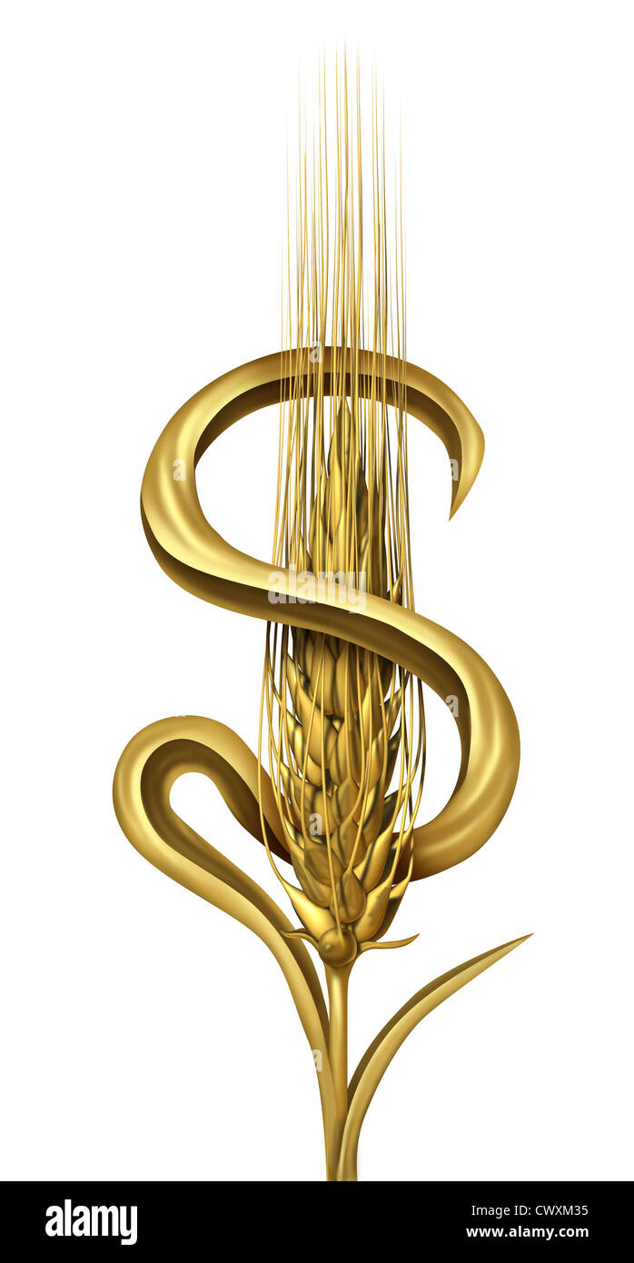 Cash crop concept representing the money and profits earned in the business of the farming and agricultural industry and the finances of the food market as a single wheat plant in the shape of a dollar currency sign on white. Stock Photo
