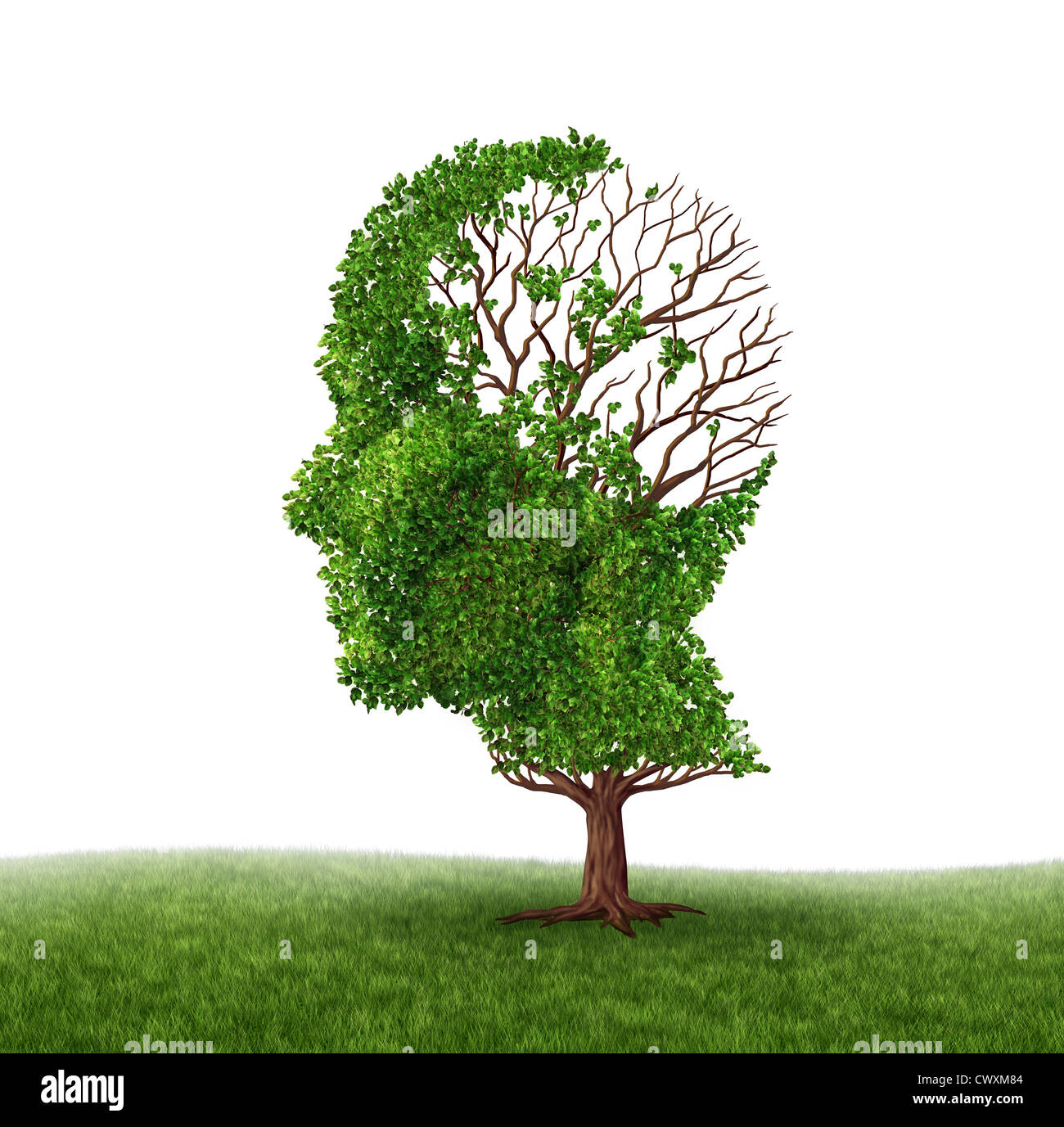 Brain function loss and dealing With dementia and Alzheimer's disease as a medical icon of a tree in the shape of a human head a Stock Photo