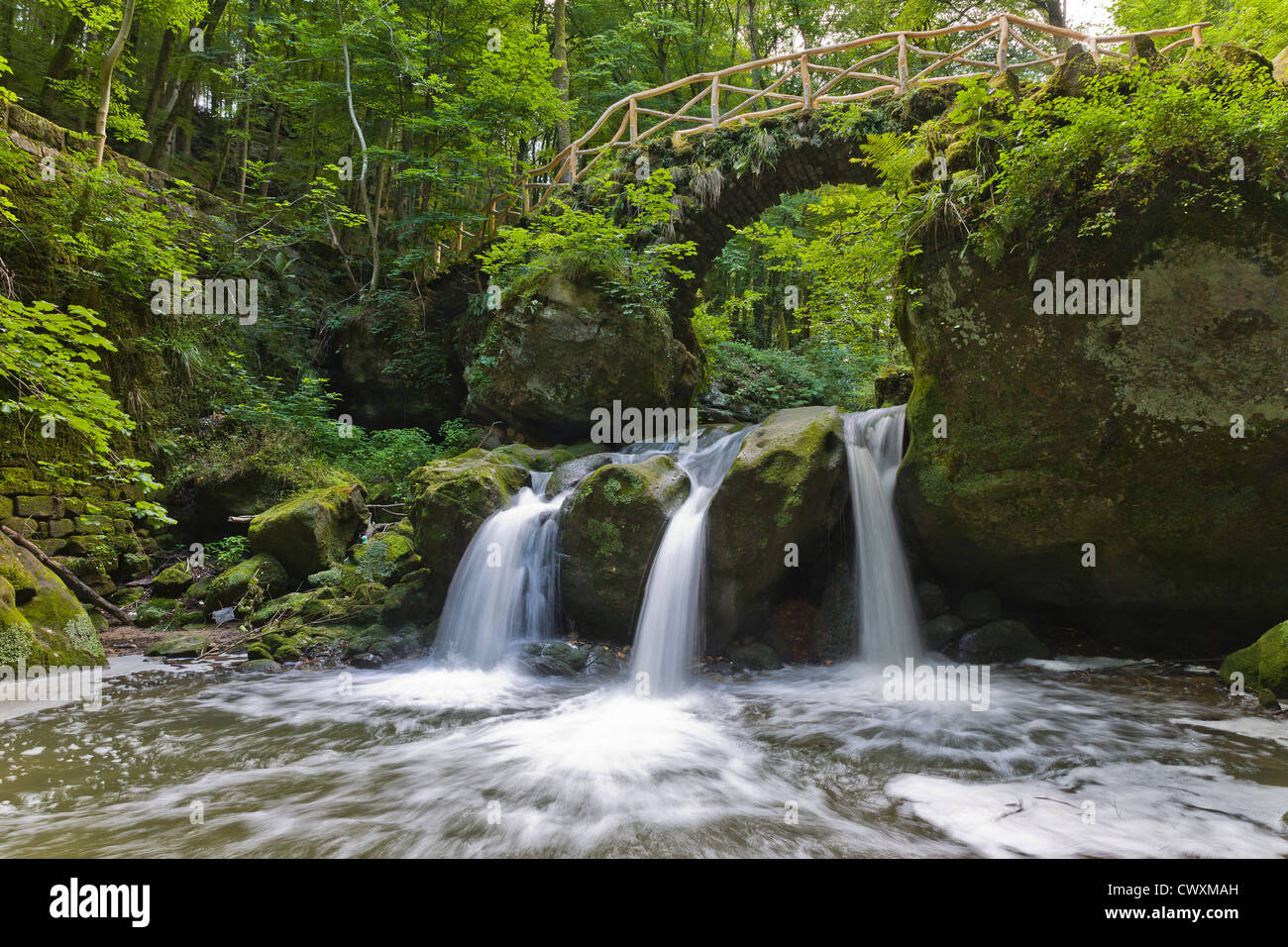 The Black Ernz river and the Schiessentümpel in the Müllerthal, a must  destination for tourists in Luxembourg Stock Photo - Alamy