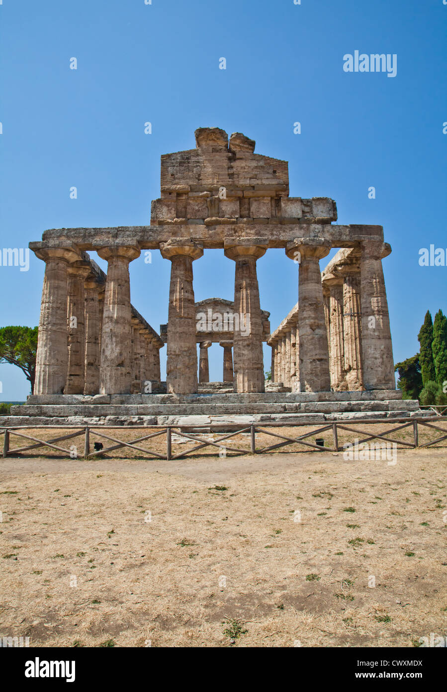 Greek temple in Italy, Paestum archeological site Stock Photo Alamy