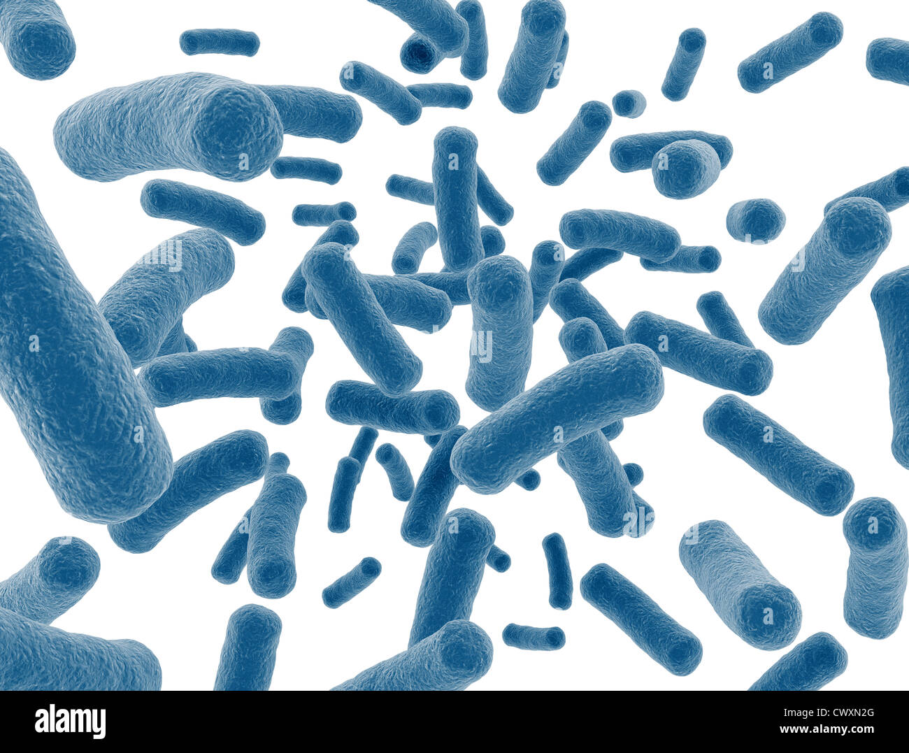 Bacteria virus cells isolated on white background Stock Photo - Alamy