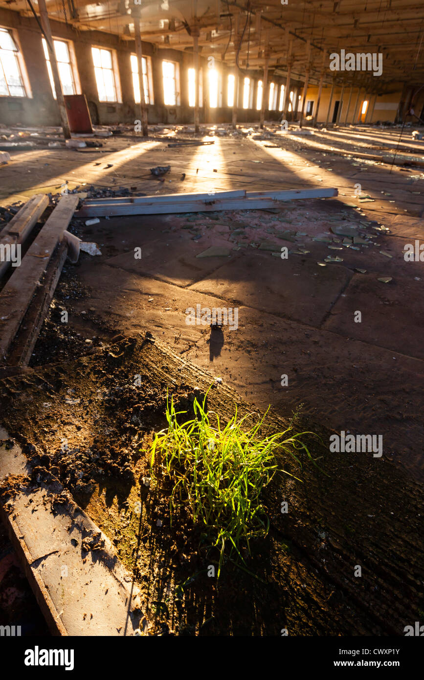 Whetley Mills in Thornton Road Bradford. Whetley Mills were built in