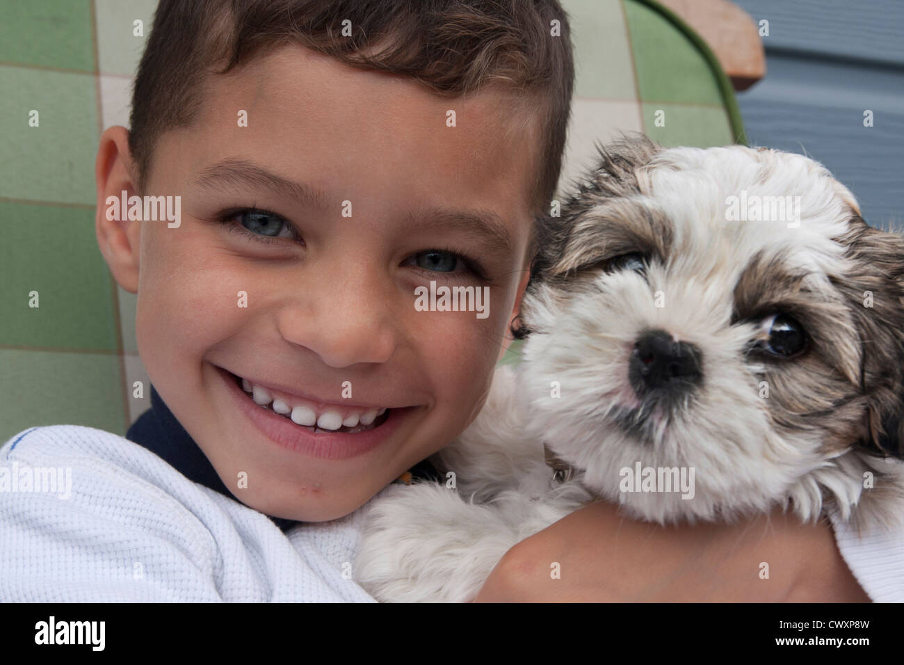 little boy and shih tzu puppy Stock Photo Alamy