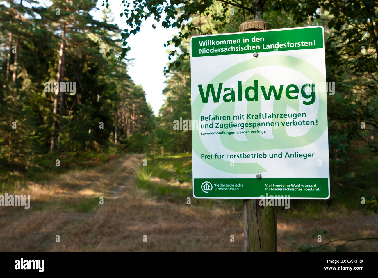 Waldweg in Niedersachsen, Forstschild Stock Photo - Alamy