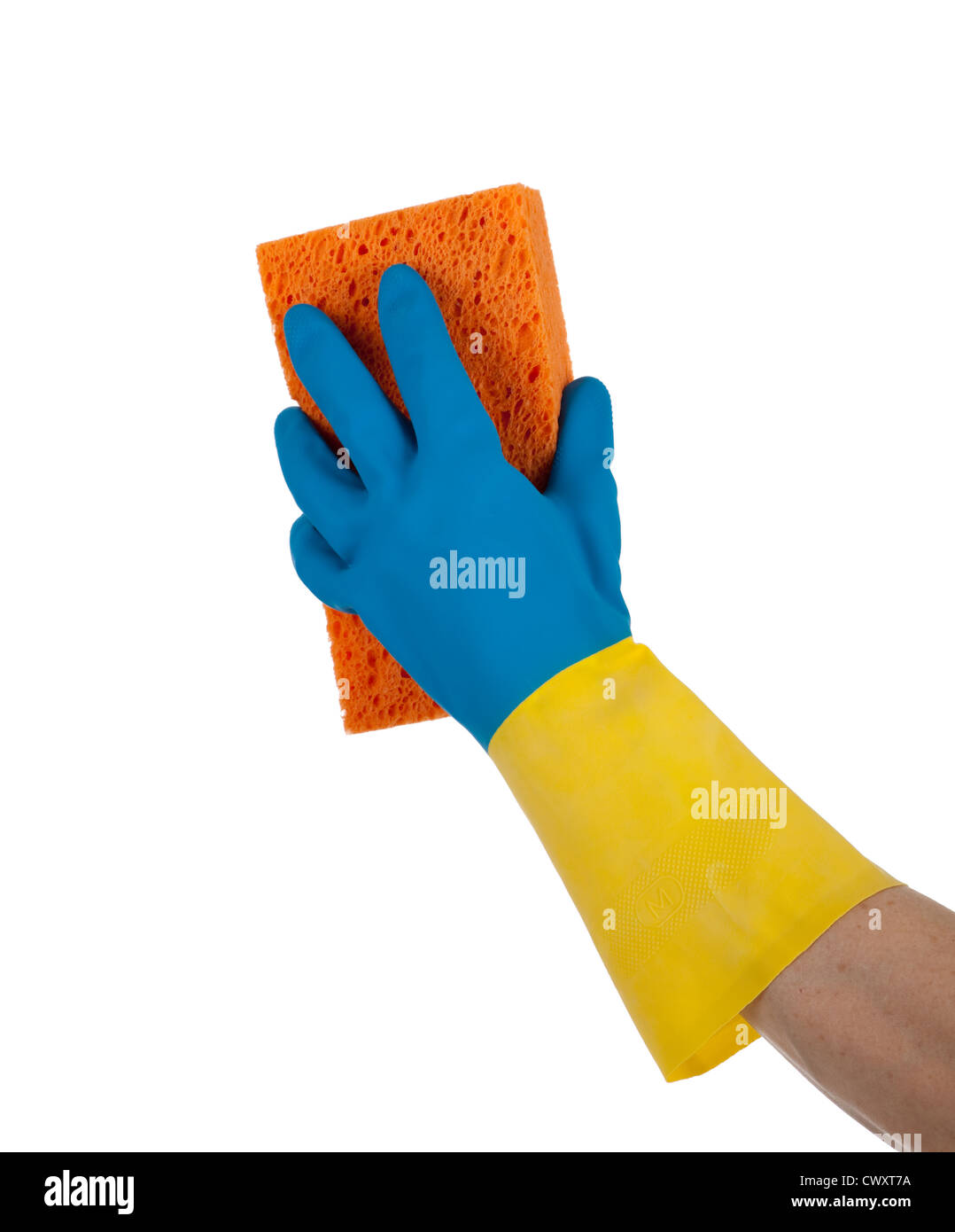 A blue and yellow rubber gloved hand holding an orange sponge on a ...