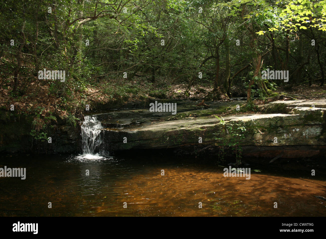 waterfall stream creek picture landscape Stock Photo