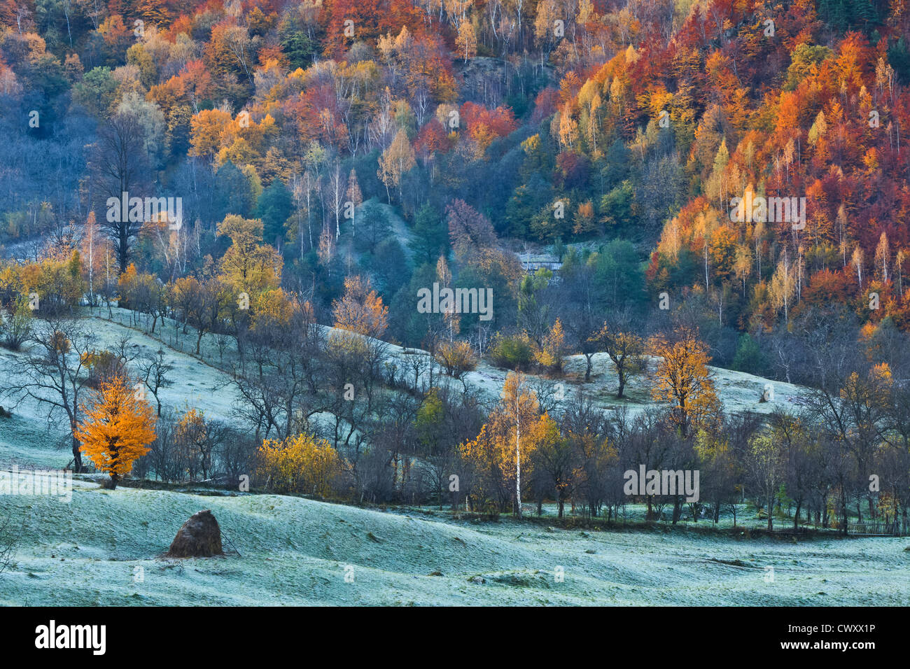 Rural nature landscape background hi-res stock photography and images ...