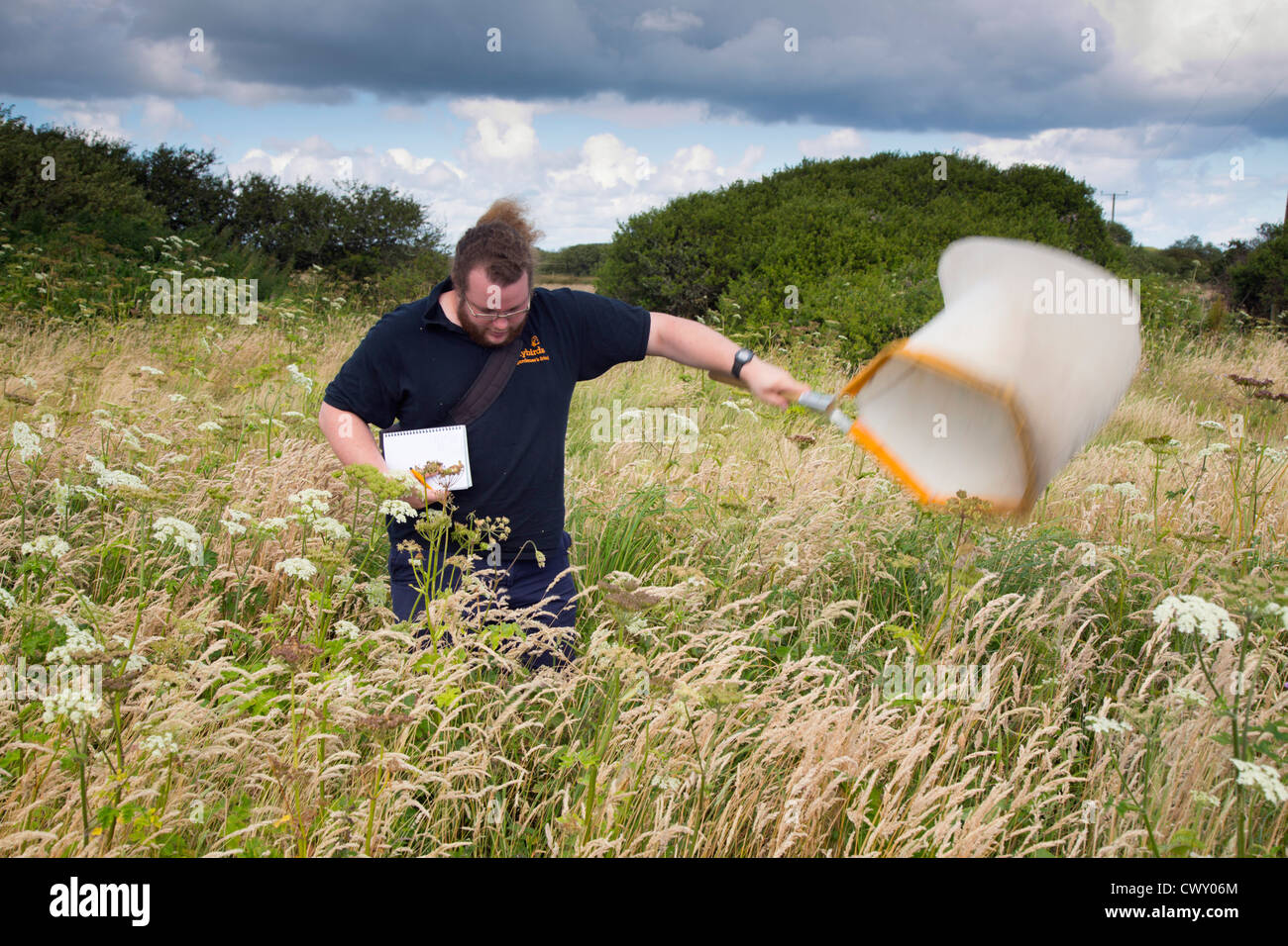 Butterfly Hunt; Richard Comont; with net; Windmill Farm; Cornwall; Stock Photo