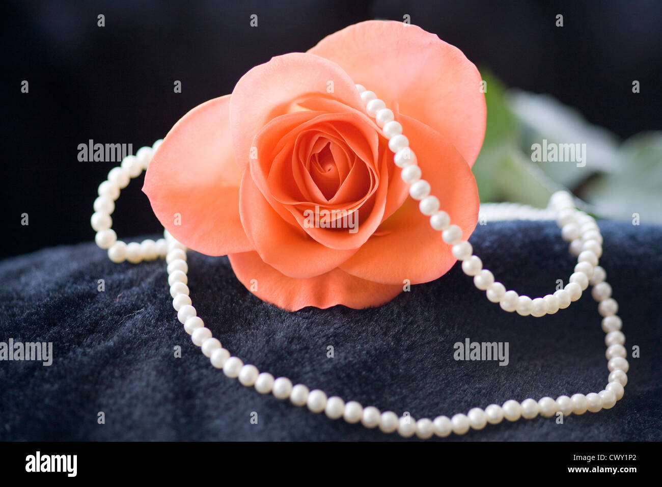 BLACK COLOUR BCmilova Necklace Peach