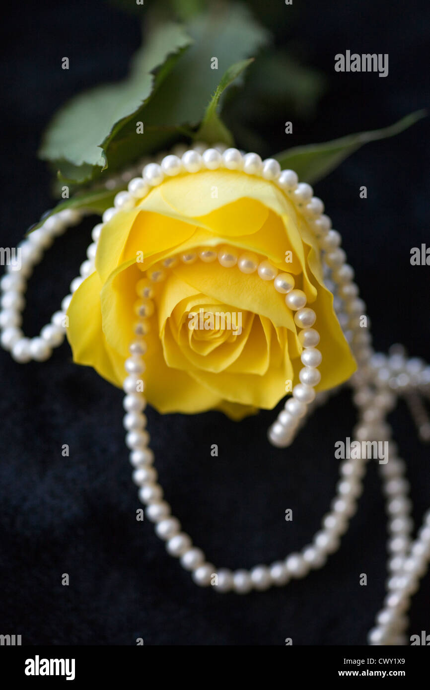 Camille crimson pearl necklace Interesting. Tell camille crimson pearl necklace think, you