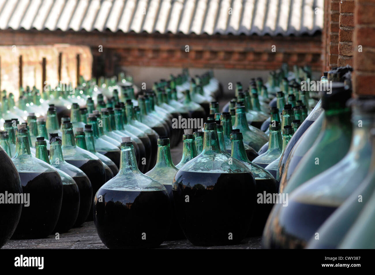 old wine obtained by oxidative aging process exposing wine in large bottles of glass Cooperative Winery Falset - Marça Priorat Stock Photo