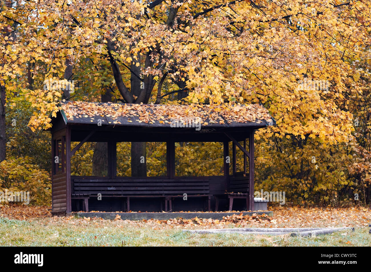 gazebo in autumn park Stock Photo - Alamy