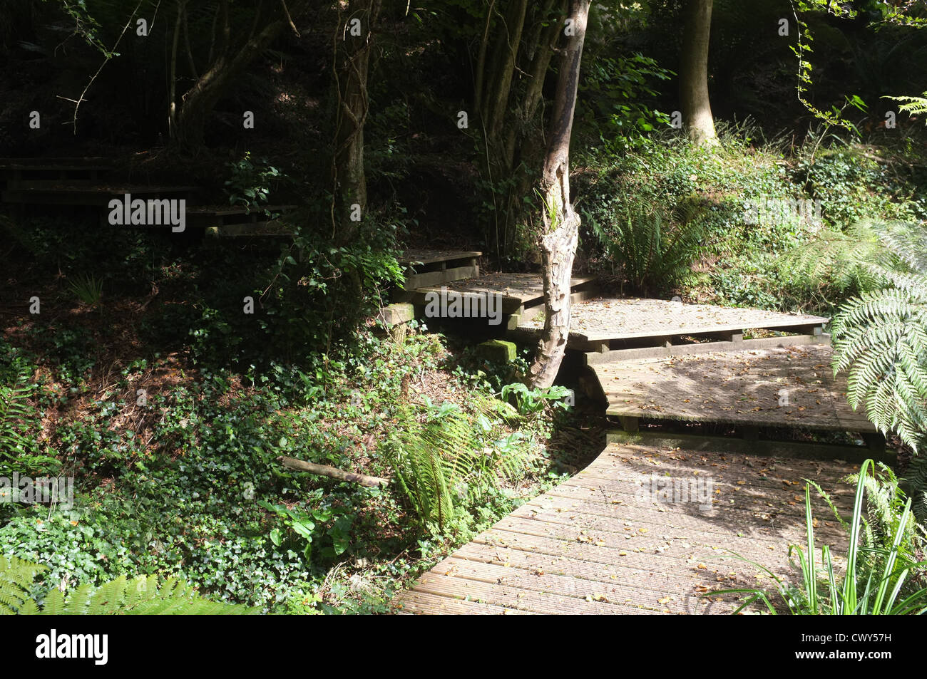 Tremenheere Sculpture Gardens, West Cornwall Stock Photo Alamy