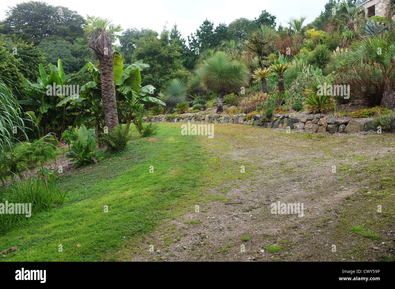 Tremenheere Sculpture Gardens, West Cornwall Stock Photo Alamy