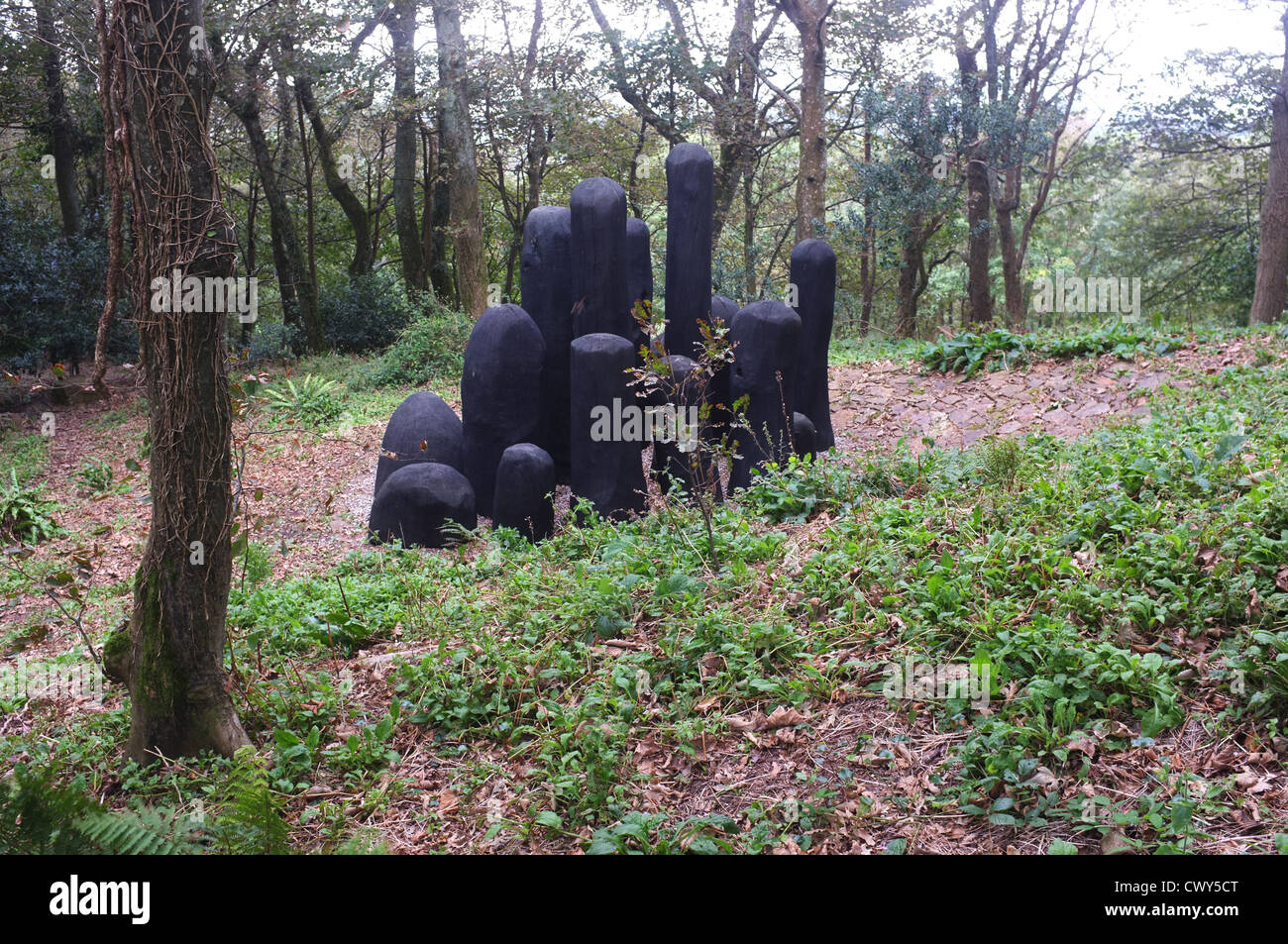Tremenheere Sculpture Gardens, West Cornwall Stock Photo Alamy
