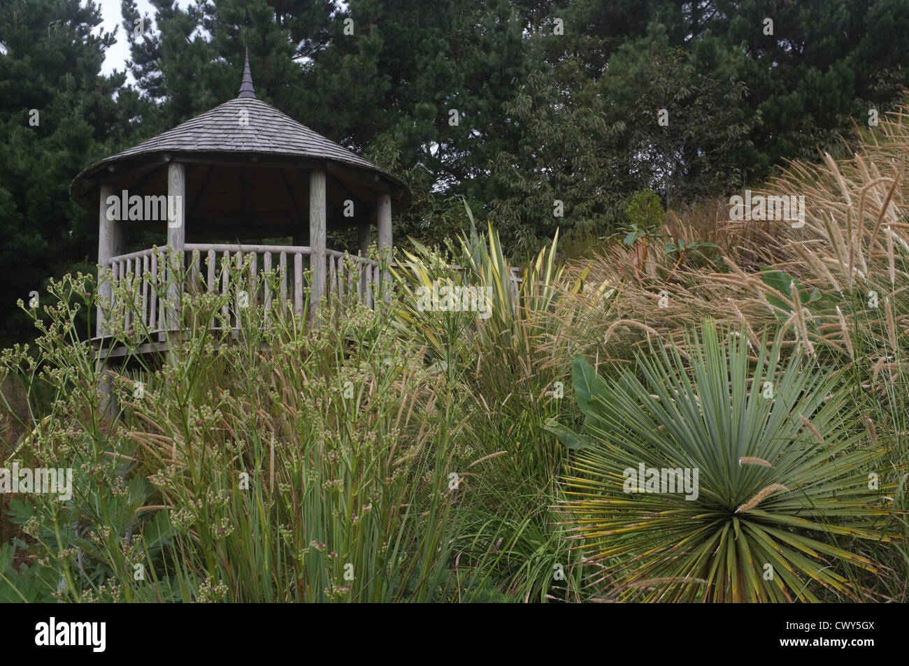 Tremenheere Sculpture Gardens, West Cornwall Stock Photo Alamy