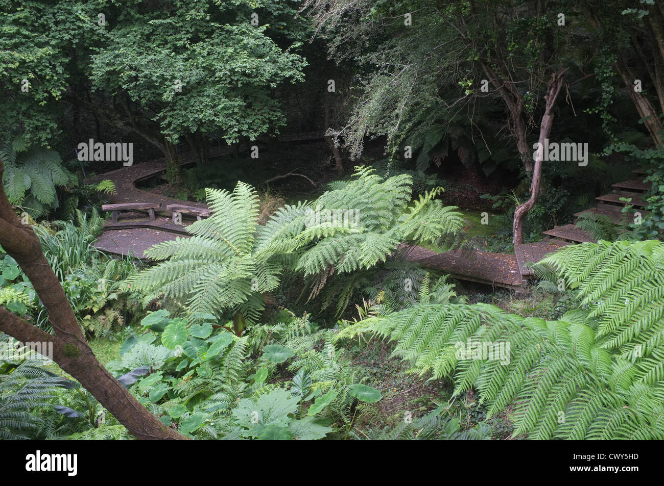 Tremenheere Sculpture Gardens, West Cornwall Stock Photo Alamy