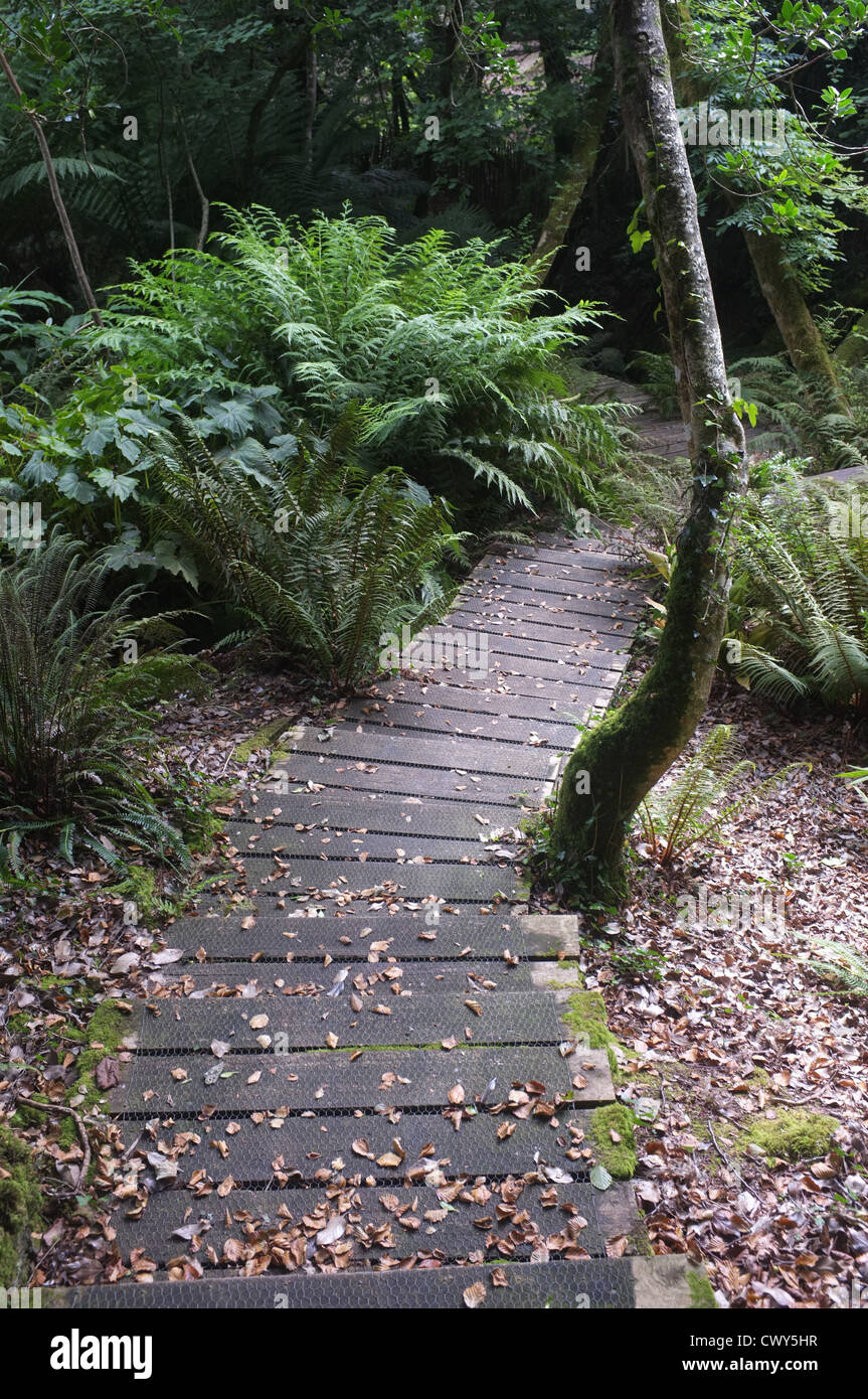 Tremenheere Sculpture Gardens, West Cornwall Stock Photo Alamy