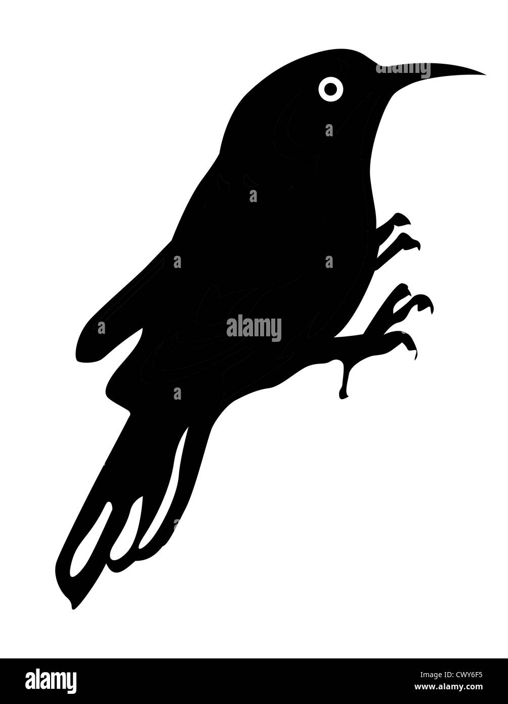 bird silhouette on white background, vector illustration Stock Photo ...