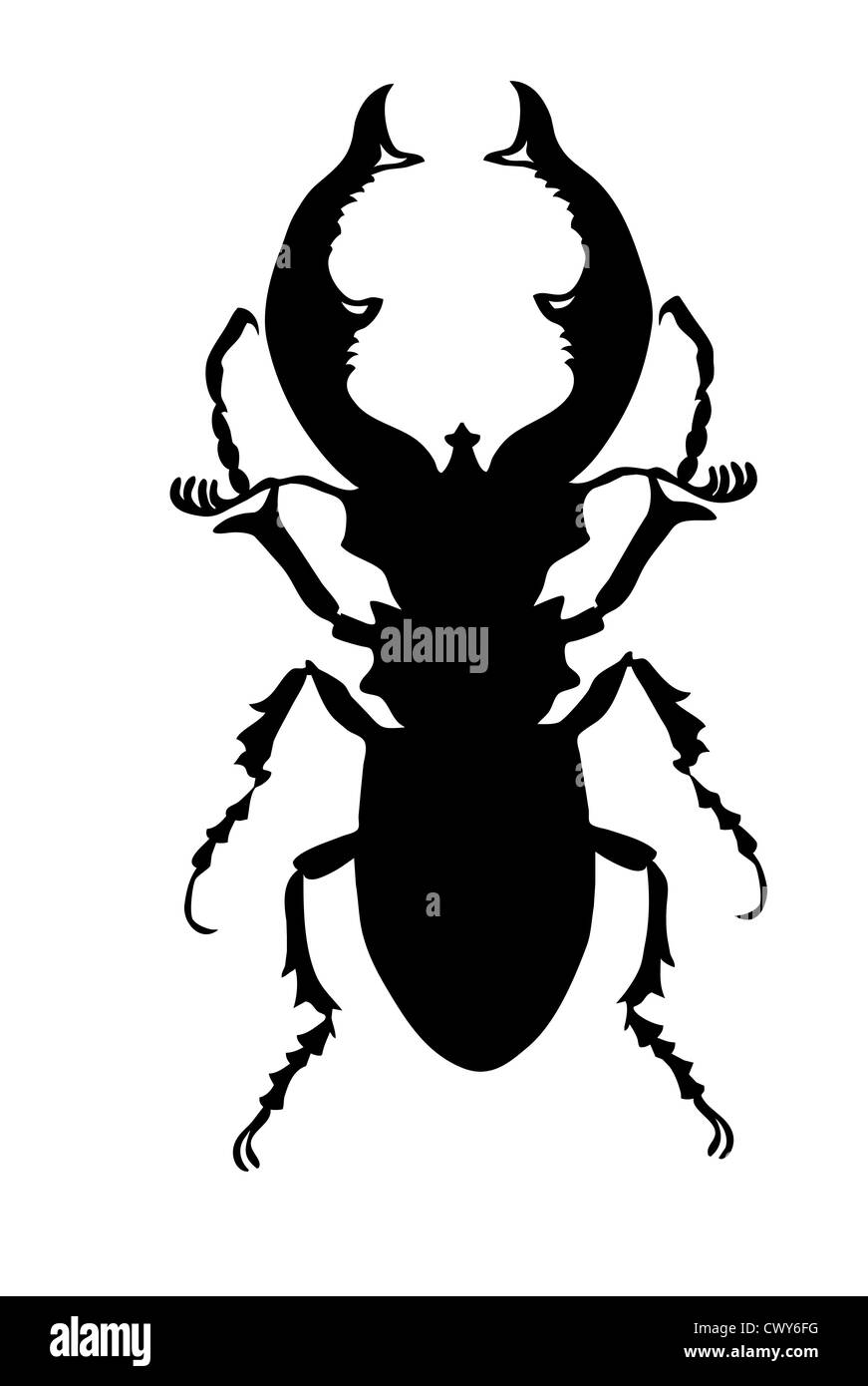 bug silhouette on white background, vector illustration Stock Photo - Alamy