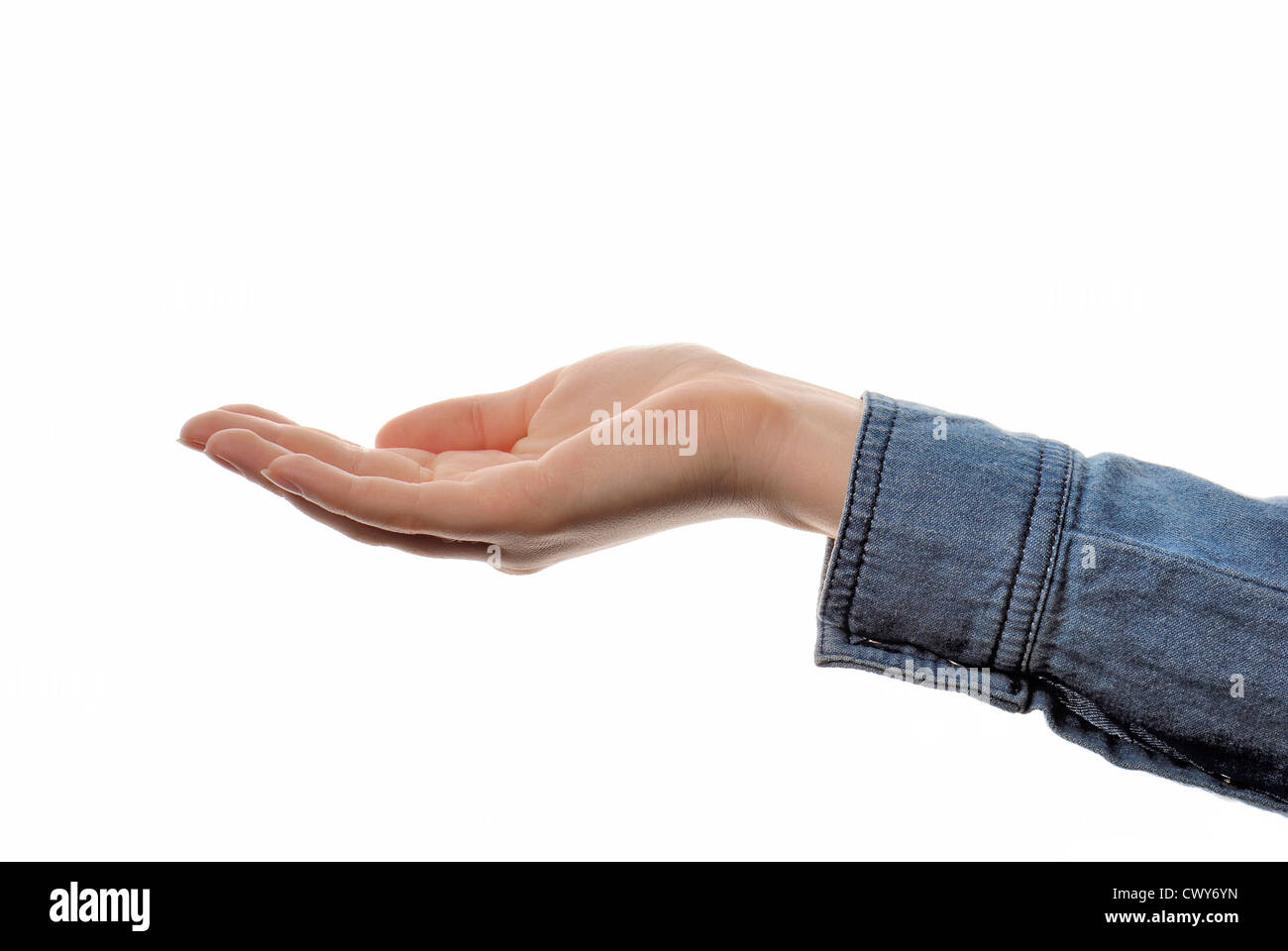 closeup woman`s hand isolated on white background Stock Photo - Alamy
