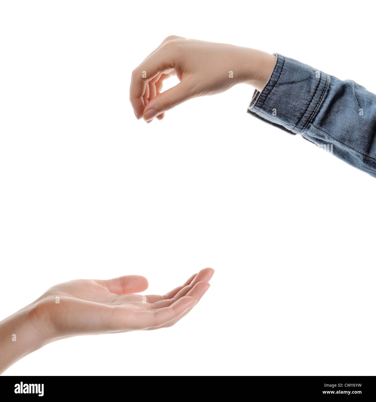 closeup woman`s hands isolated on white background Stock Photo - Alamy