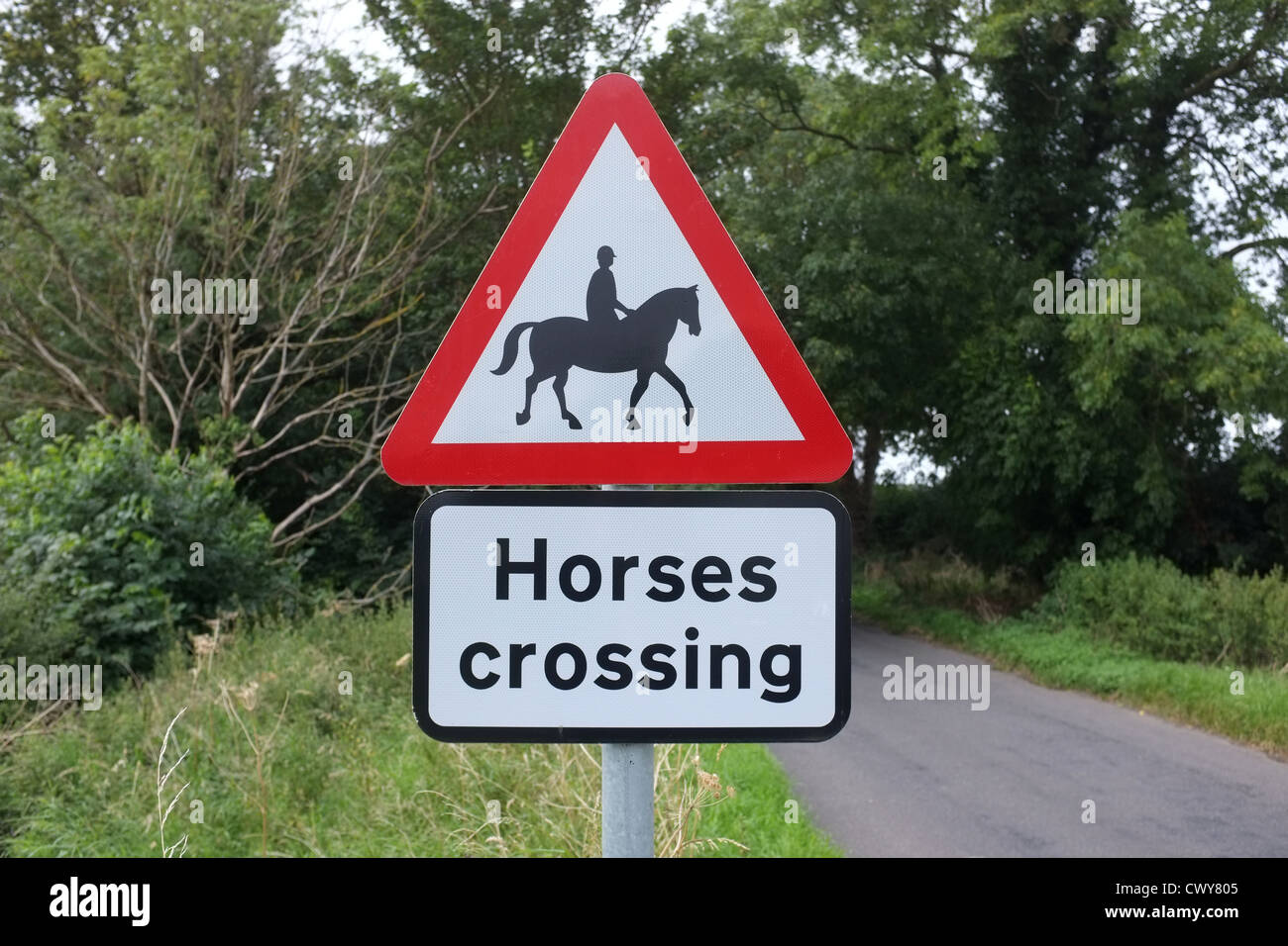 Warning Sign Horses Crossing Stock Photo Alamy