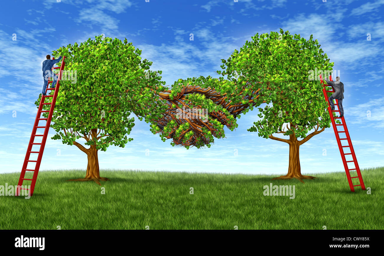 Building business trust and growing a financial partnership through an agreement as two growing trees merging together in a hand shake shape with businessmen on ladders working together for success. Stock Photo