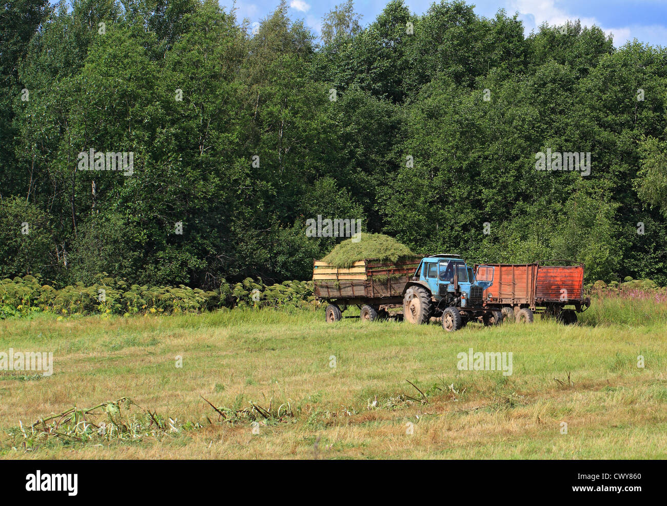 old tractor on summer field Stock Photo - Alamy