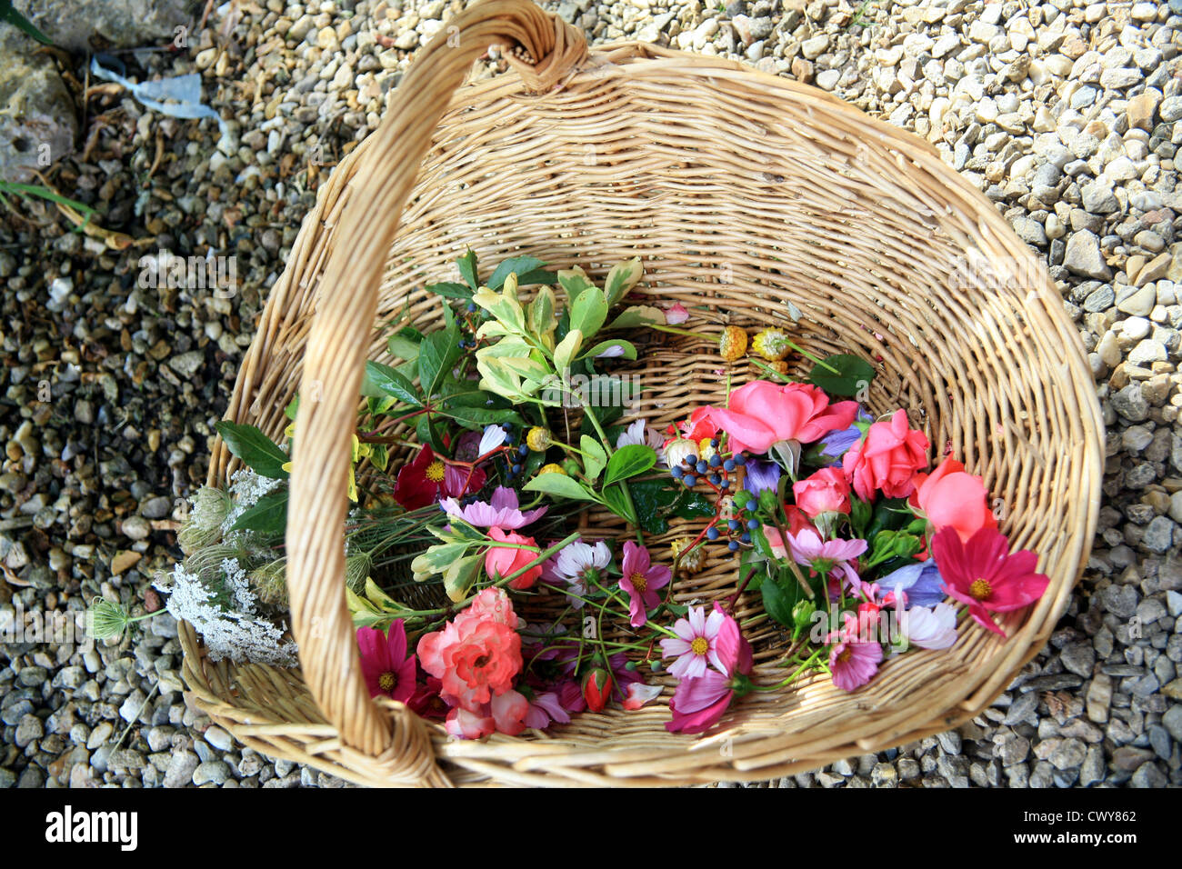 Wicker basket with fresh cut flowers Stock Photo