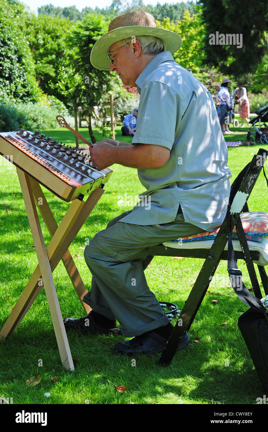 Man playing hammer dulcimer Stock Photo Alamy