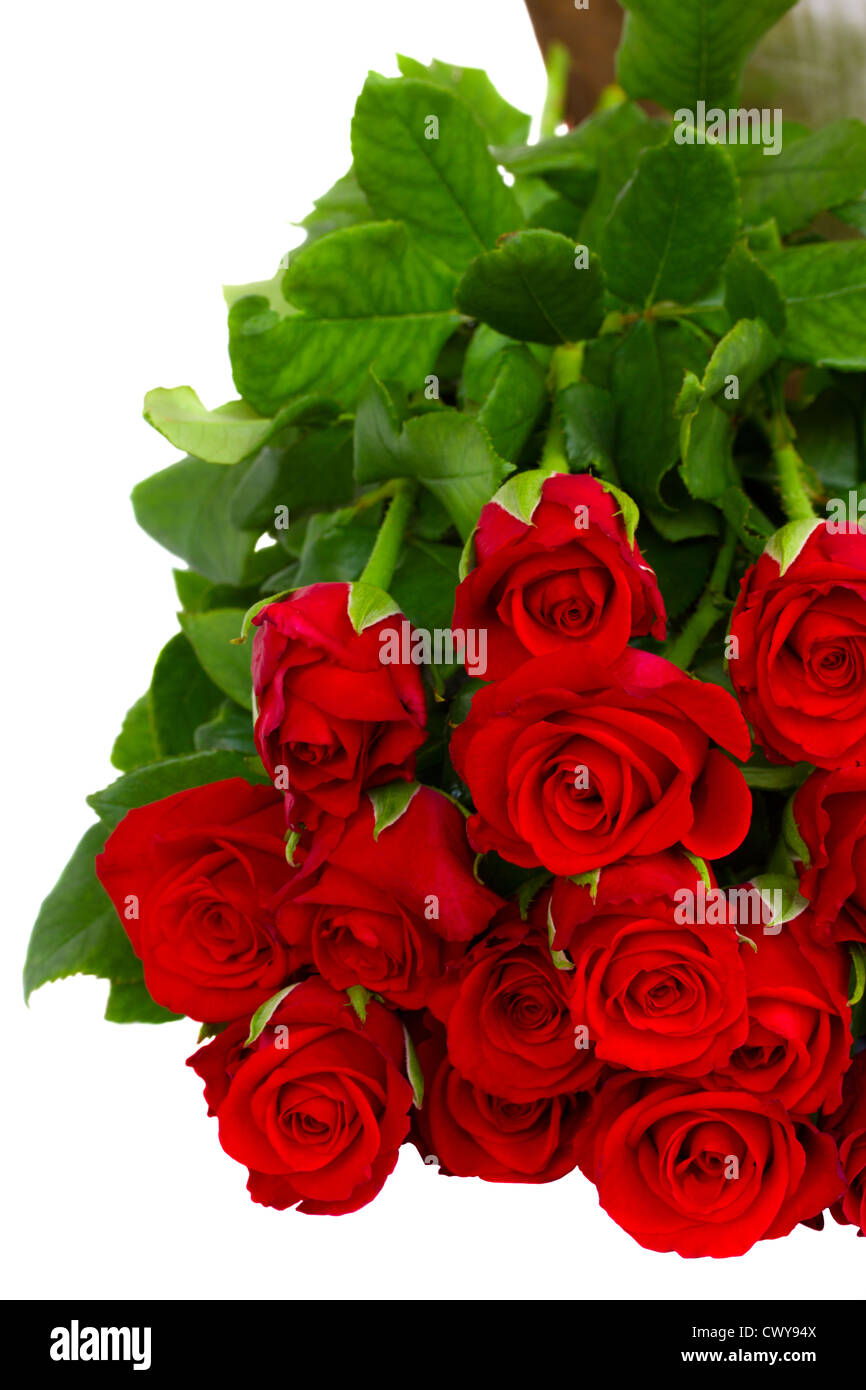 bouquet of red roses isolated on white background Stock Photo - Alamy
