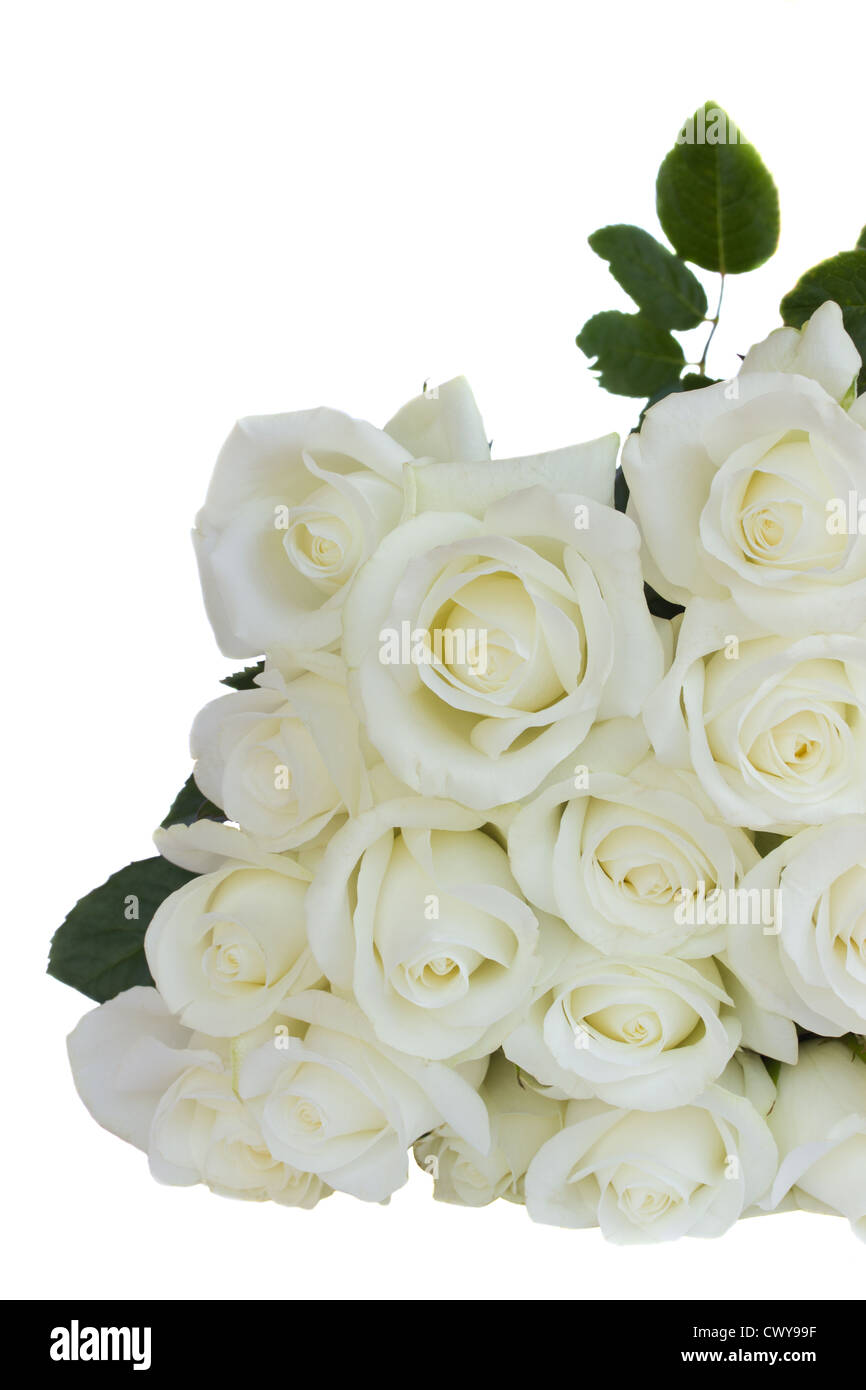 bouquet of white fresh roses isolated on white background Stock Photo ...