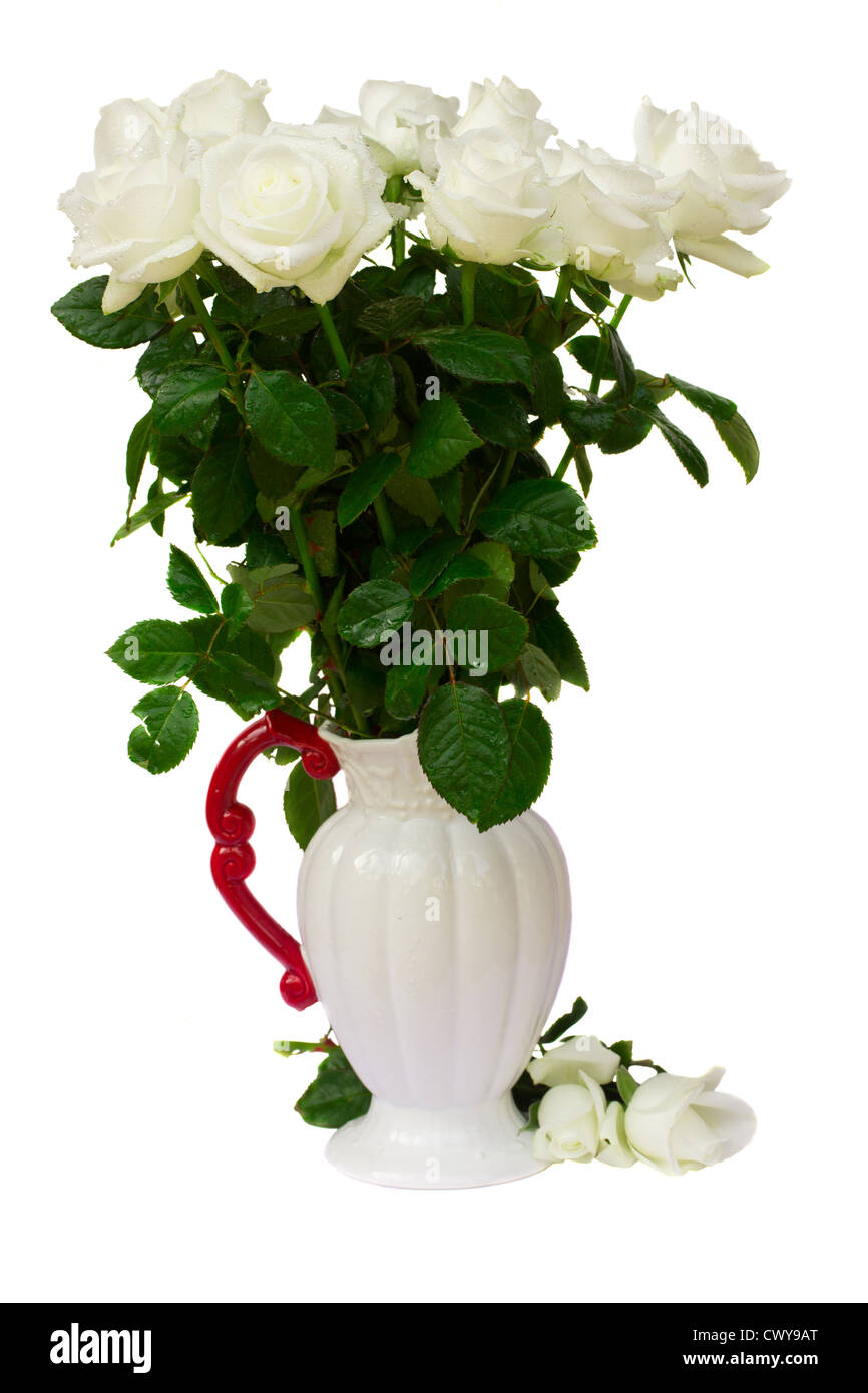 bouquet of white roses in vase isolated on white background Stock Photo