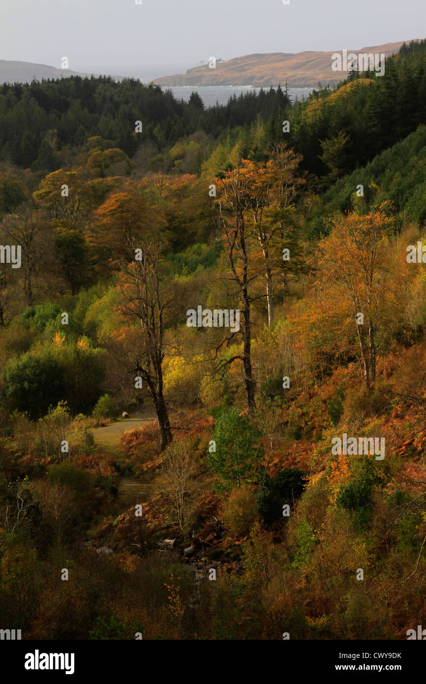 Flowerdale Glen in autumn, Gairloch Stock Photo