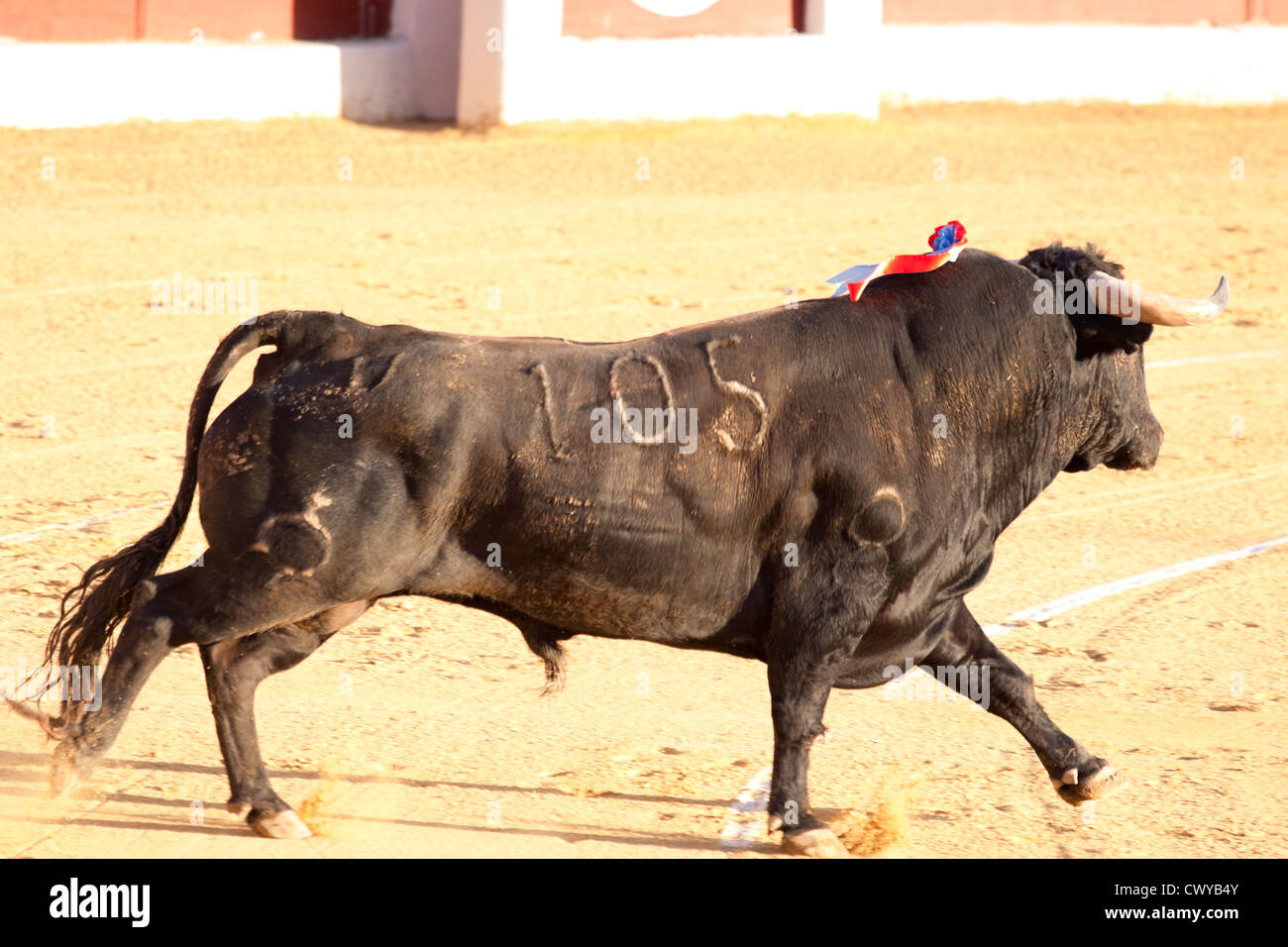Bullfighting in Spain. 21 July 2012, La Linea de la Concepcion, Spain. Stock Photo