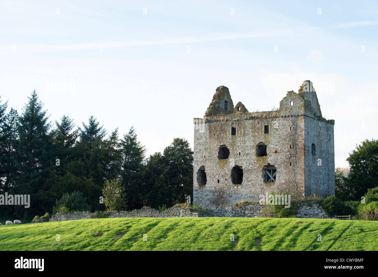 Newark tower. Bowhill House estate, Selkirkshire. Scotland Stock Photo