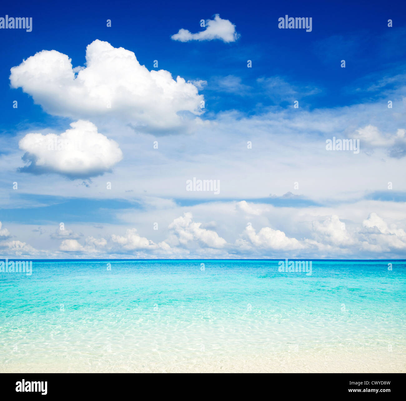 beautiful beach and tropical sea Stock Photo