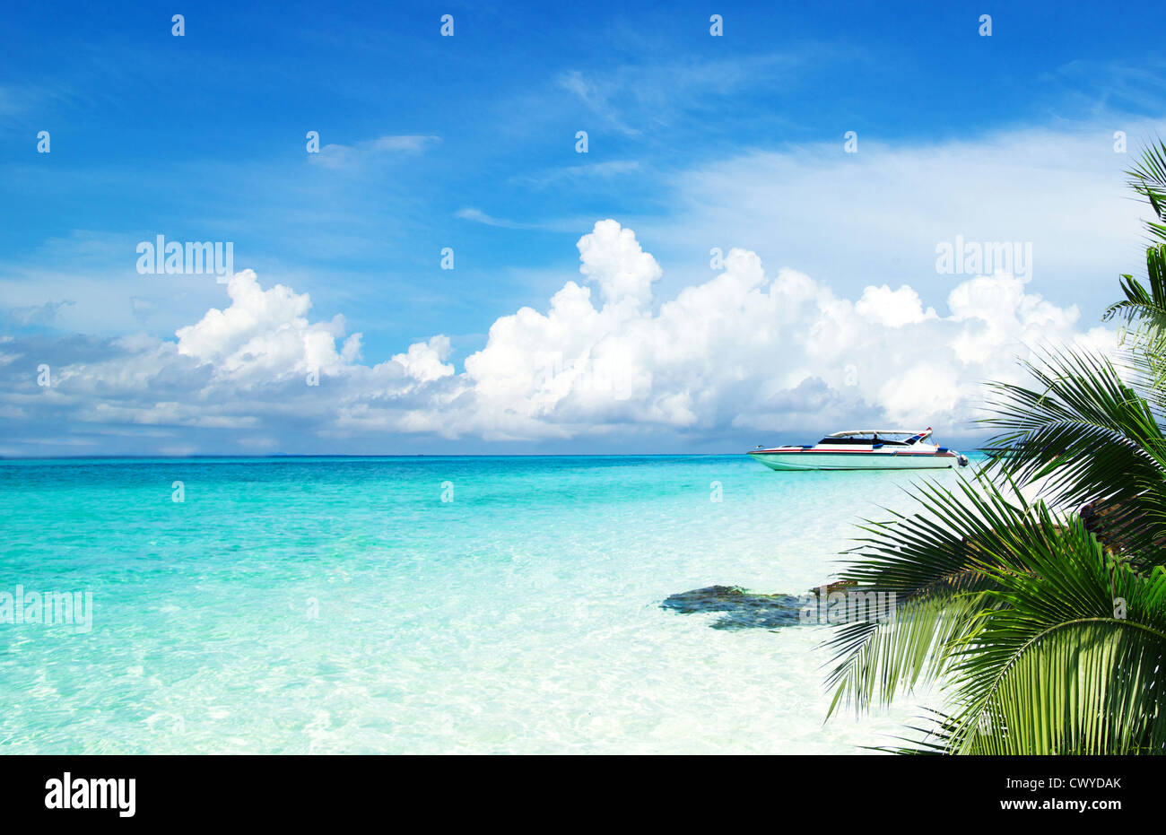 beautiful beach and tropical sea Stock Photo - Alamy