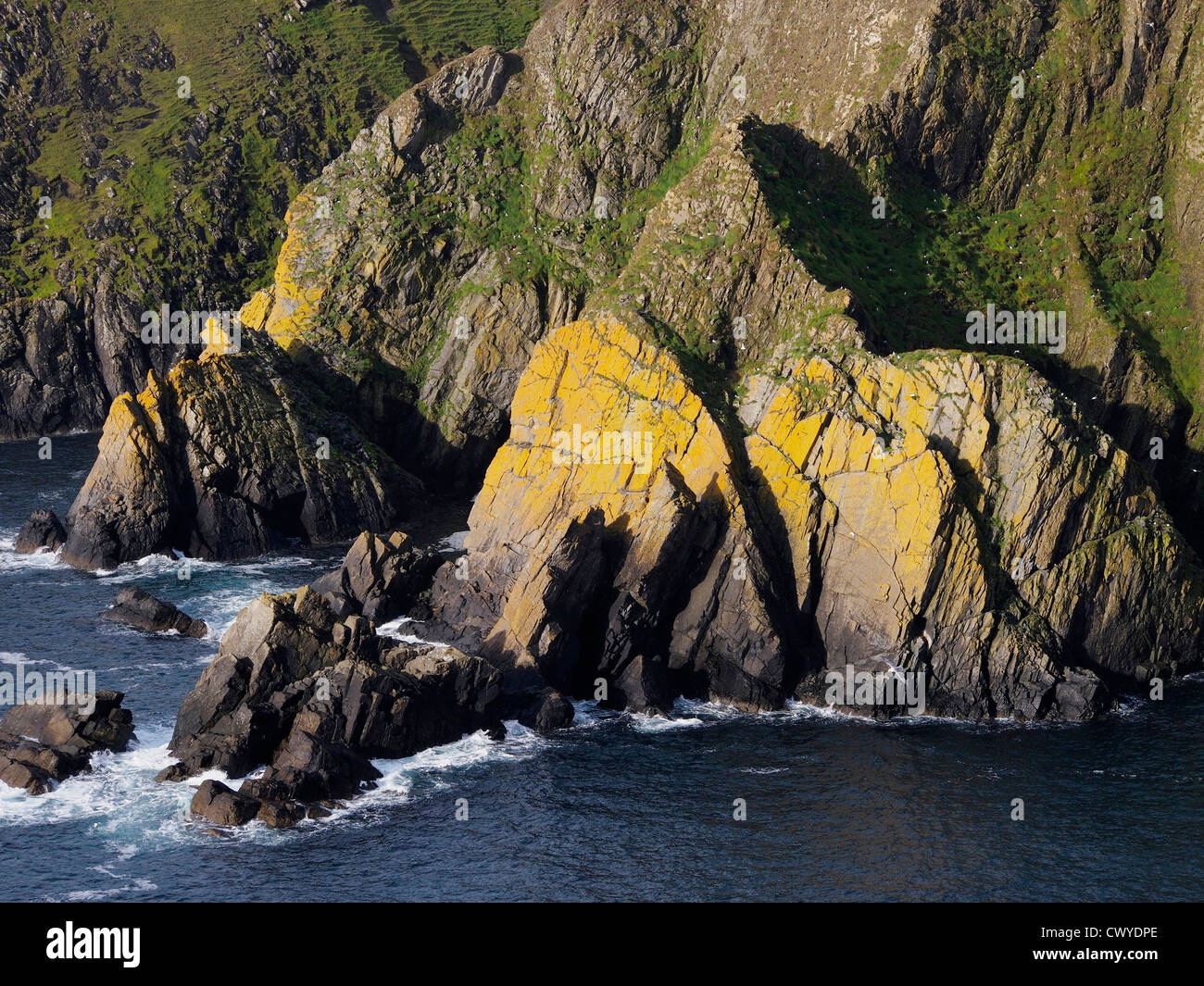 Yellow cliffs, Fair Isle, Scotland Stock Photo