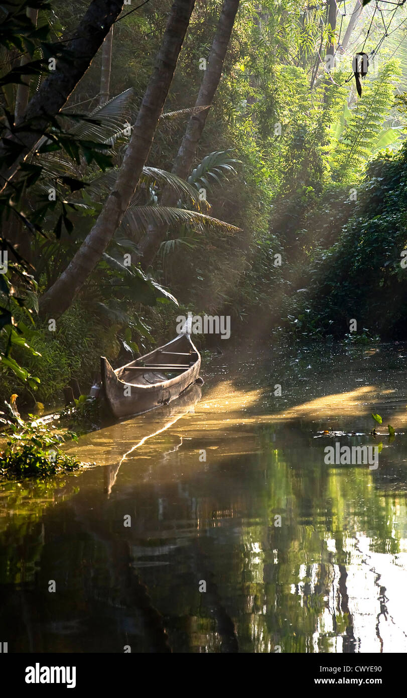 A rowing boat in a creek.Kerala Backwaters, India Stock Photo