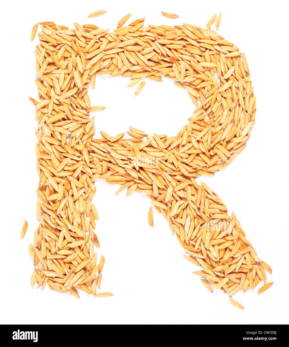 r, alphabet,Letter from Paddy rice on white Stock Photo