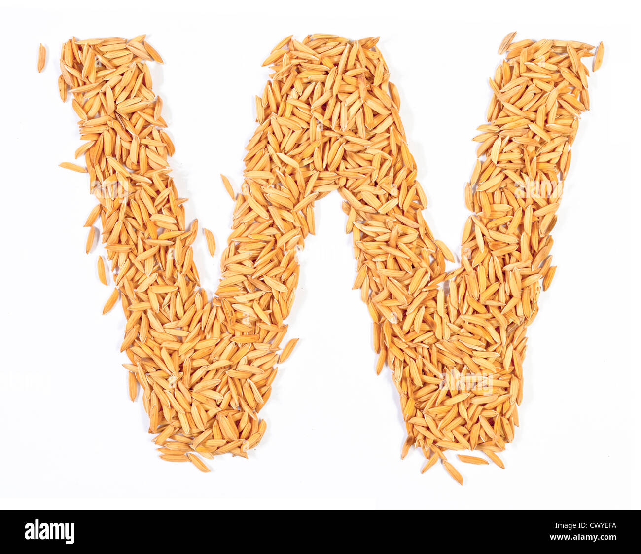 w, alphabet,Letter from Paddy rice on white Stock Photo - Alamy