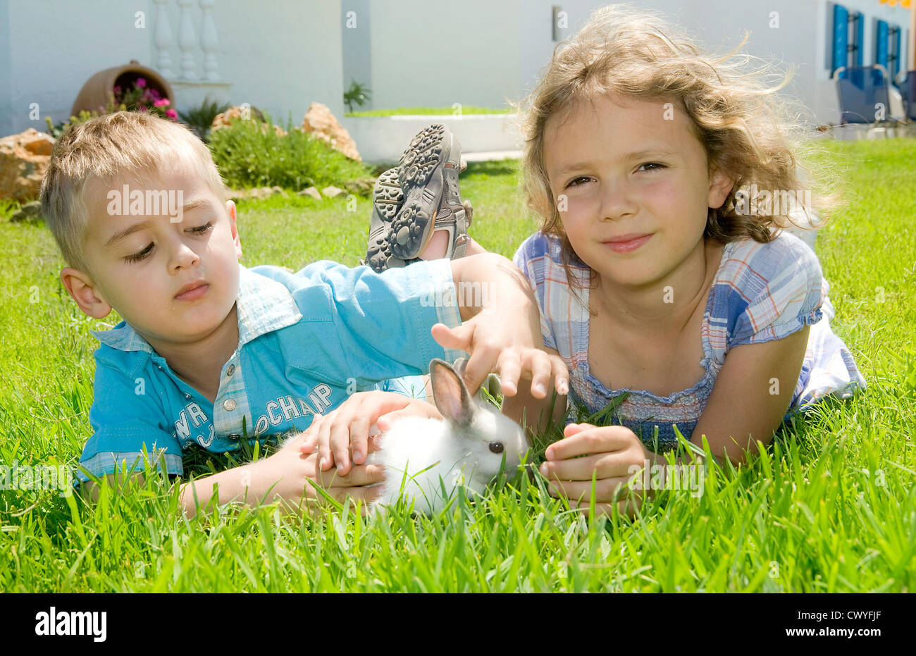 Boy girl playing pet rabbit hi-res stock photography and images - Alamy