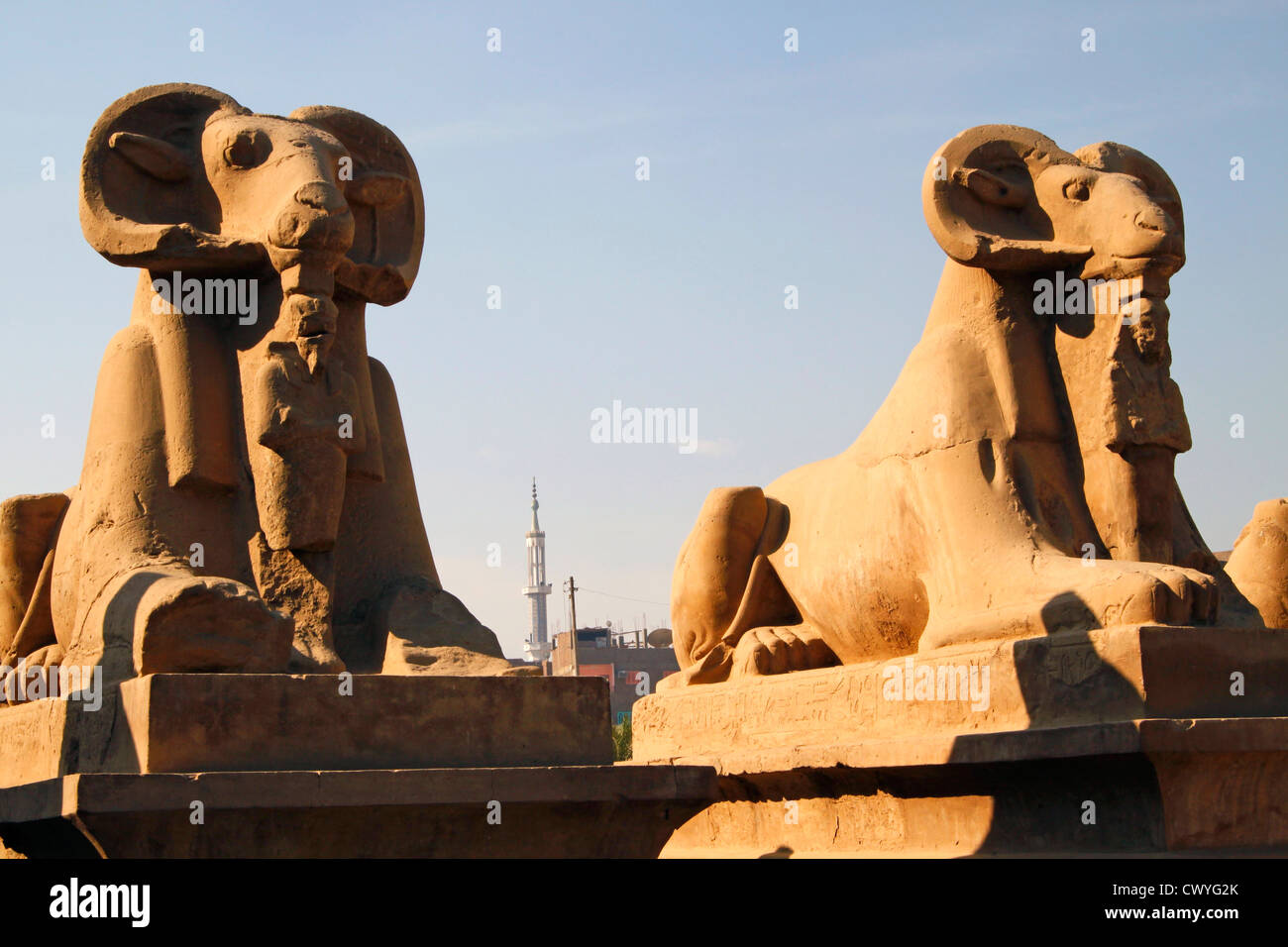 Alley of Aries Sphinx at the entrance of the Temple of Karnak, Egypt Stock Photo
