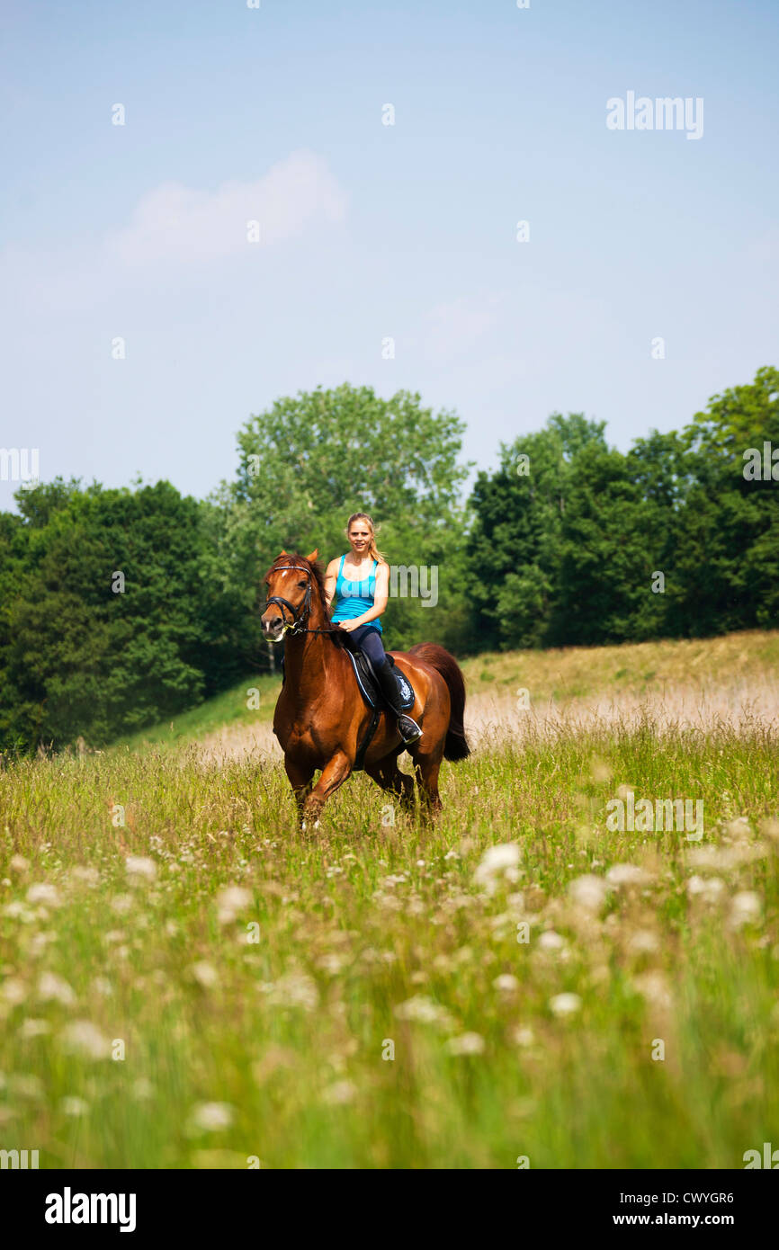 Teenage girl riding horse on meadow Stock Photo