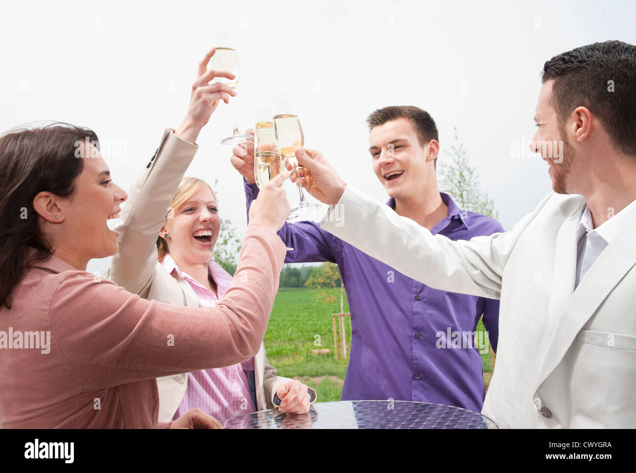 Friends toasting with champagne glasses Stock Photo Alamy